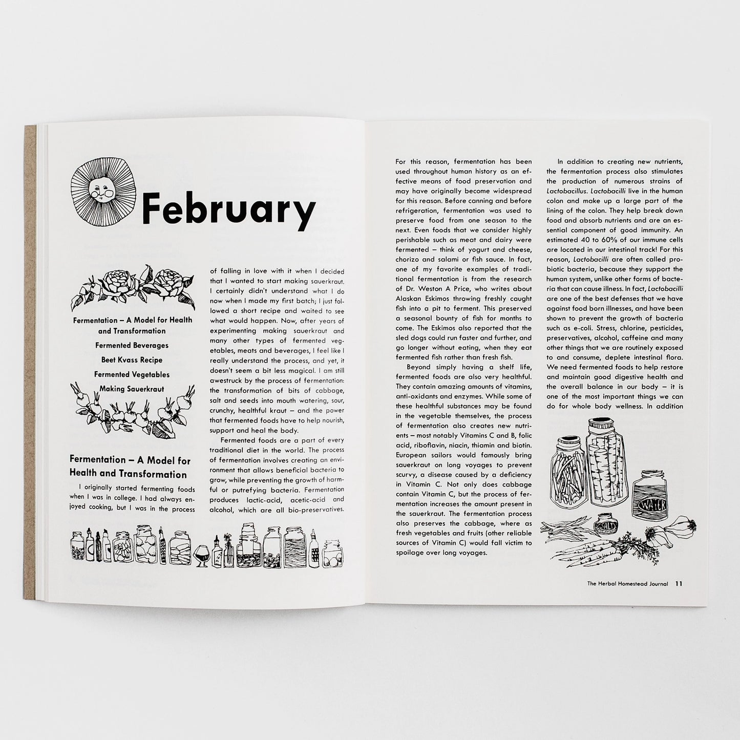 Herbal Homestead Journal