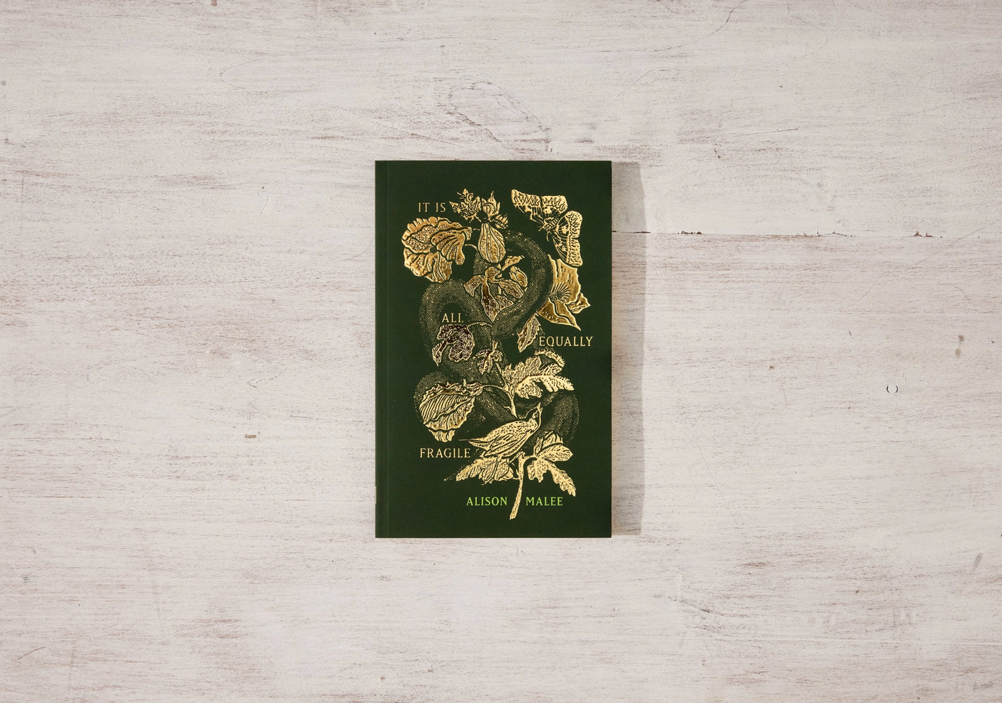 It Is All Equally Fragile