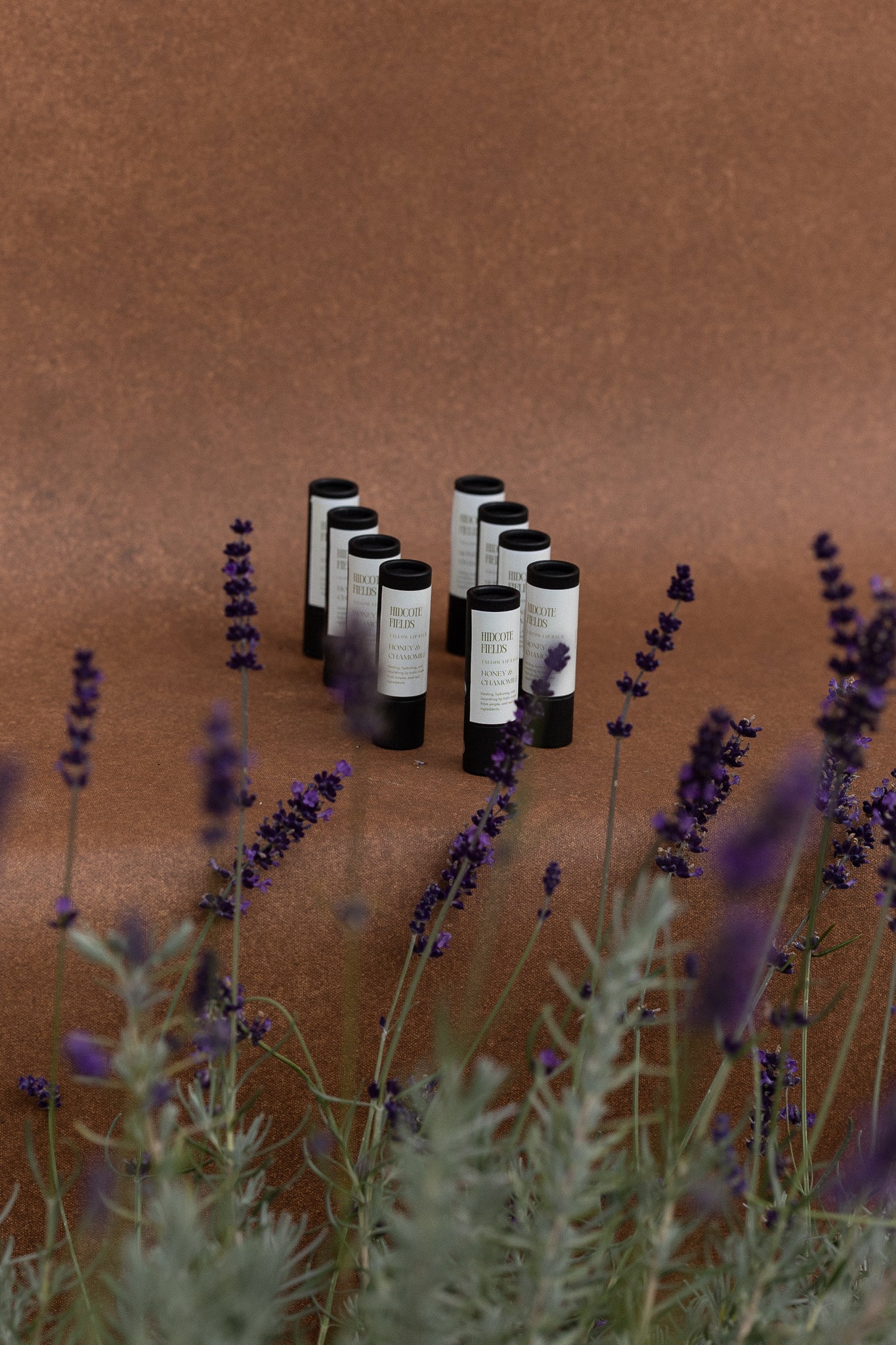 Honey & Chamomile Tallow Lip Balm