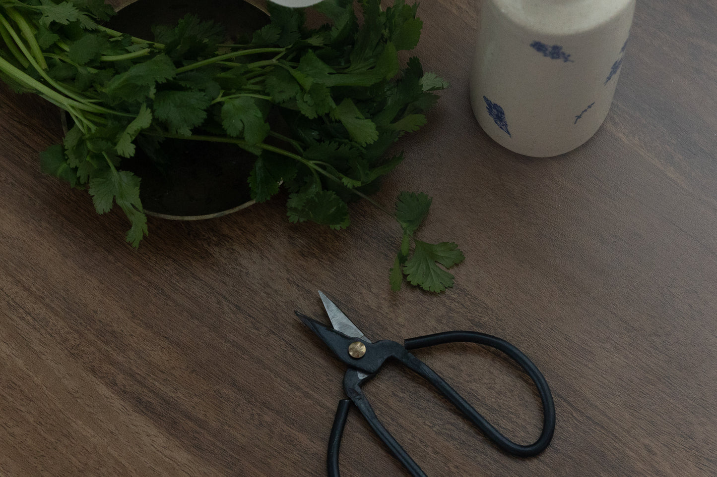 Black Iron Herb Snippers