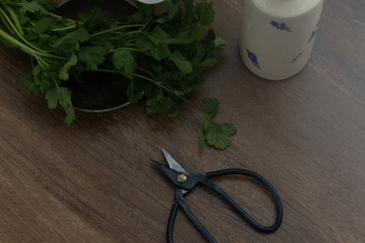 Black Iron Herb Snippers