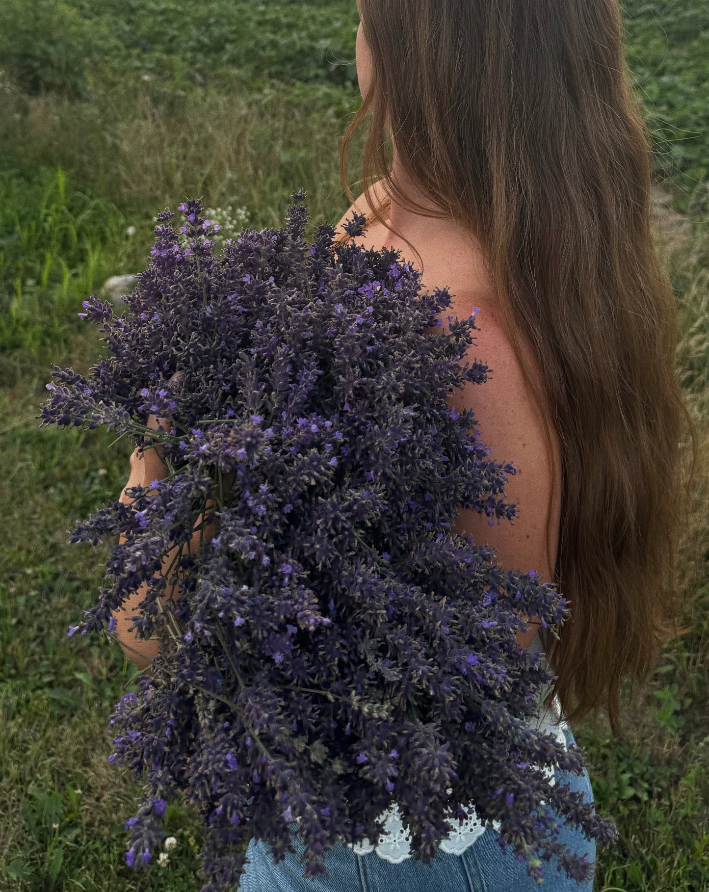 Culinary Lavender Sachet