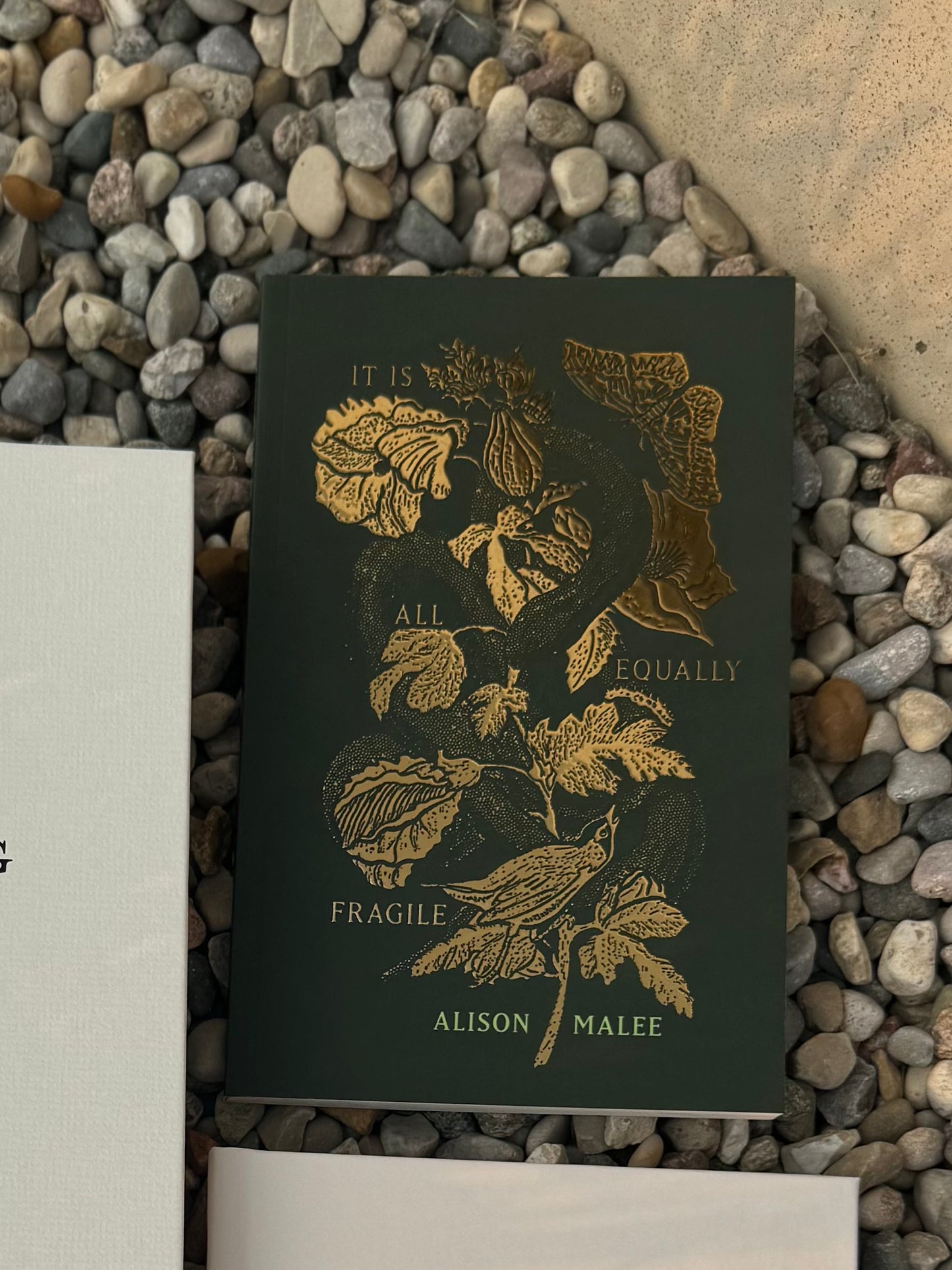 It Is All Equally Fragile