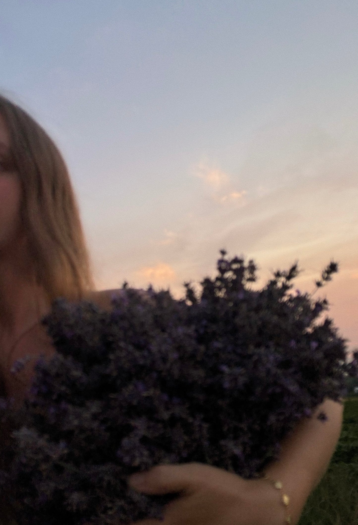 Grosso Lavender Bundle