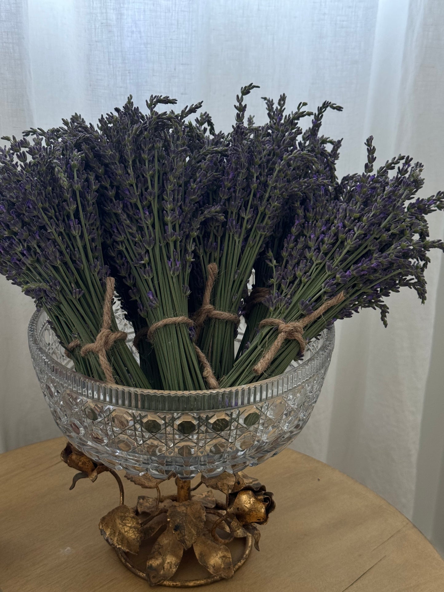 Grosso Lavender Bundle