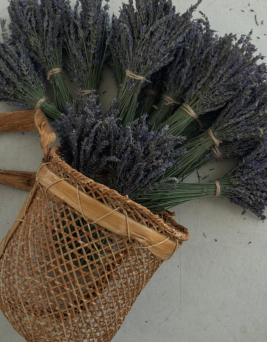Grosso Lavender Bundle